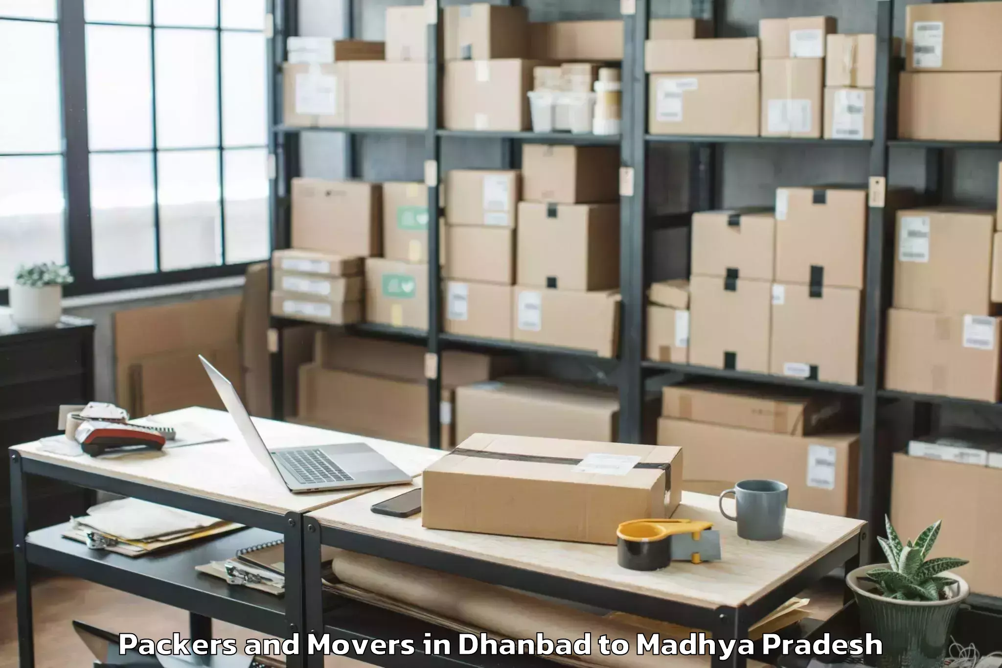 Trusted Dhanbad to Shahgarh Packers And Movers